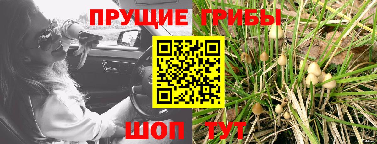 Великий Устюг  Псилоцибиновые грибы мицелий  Псилоцибиновые грибы прущие грибы  Вход с VPN 